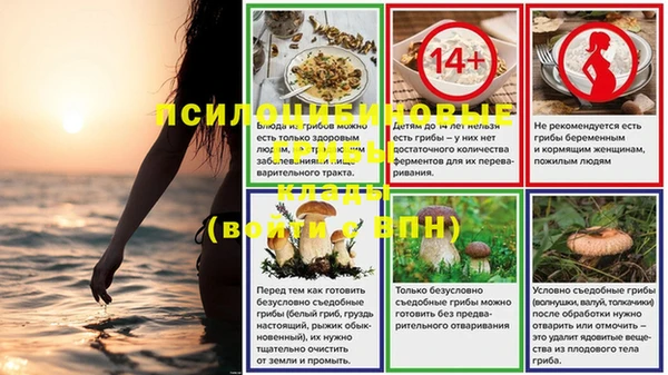 герыч Бородино
