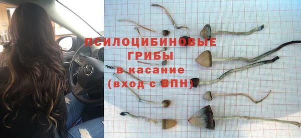 герыч Бородино